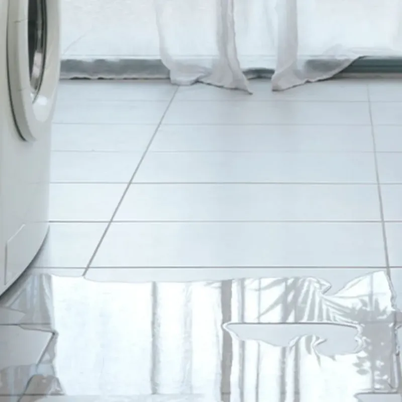 Appliance Leak Cleanup in Halifax County, NC