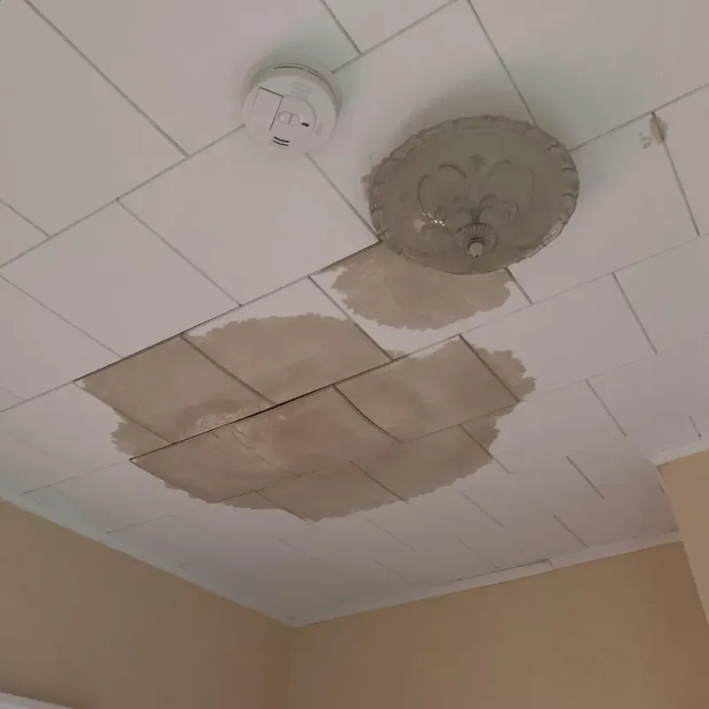 Ceiling Water Damage Repair in Halifax County, NC