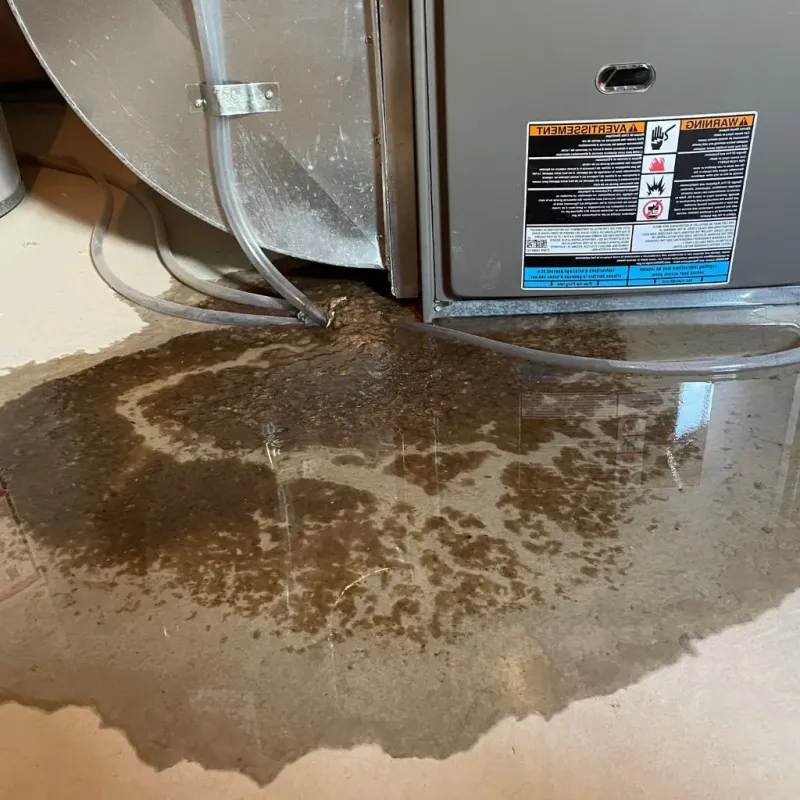 Pipe Burst and Leak Restoration in Halifax County, NC