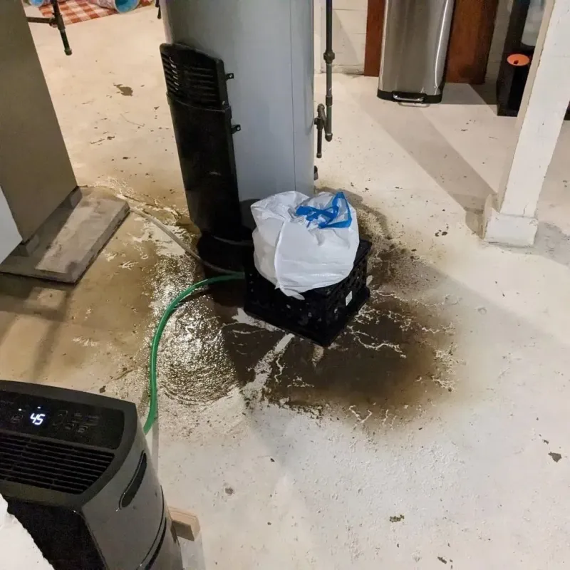 Sewage Backup Cleanup Service in Halifax County, NC